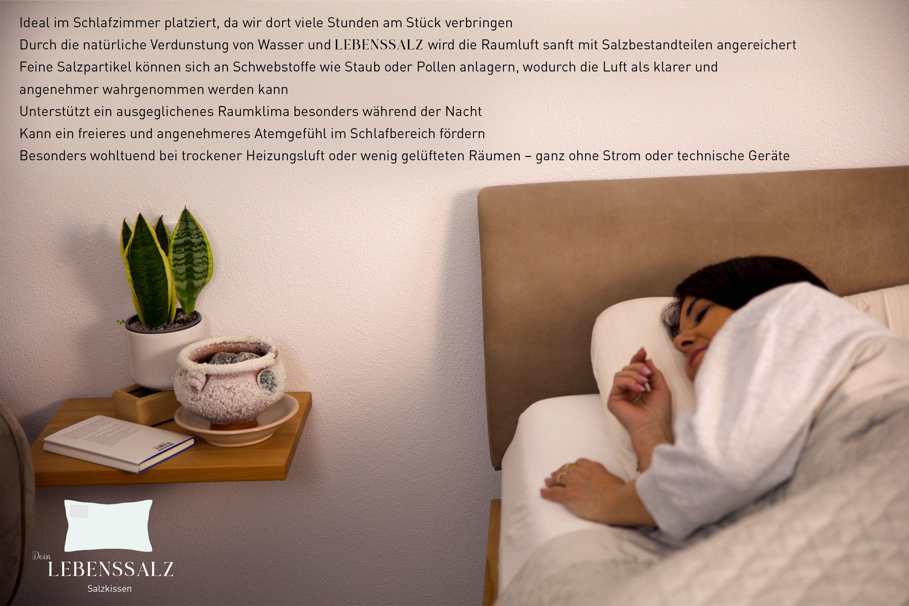 Deine Lebenssalz Amphore – Natürlicher Luftbefeuchter ohne Strom
