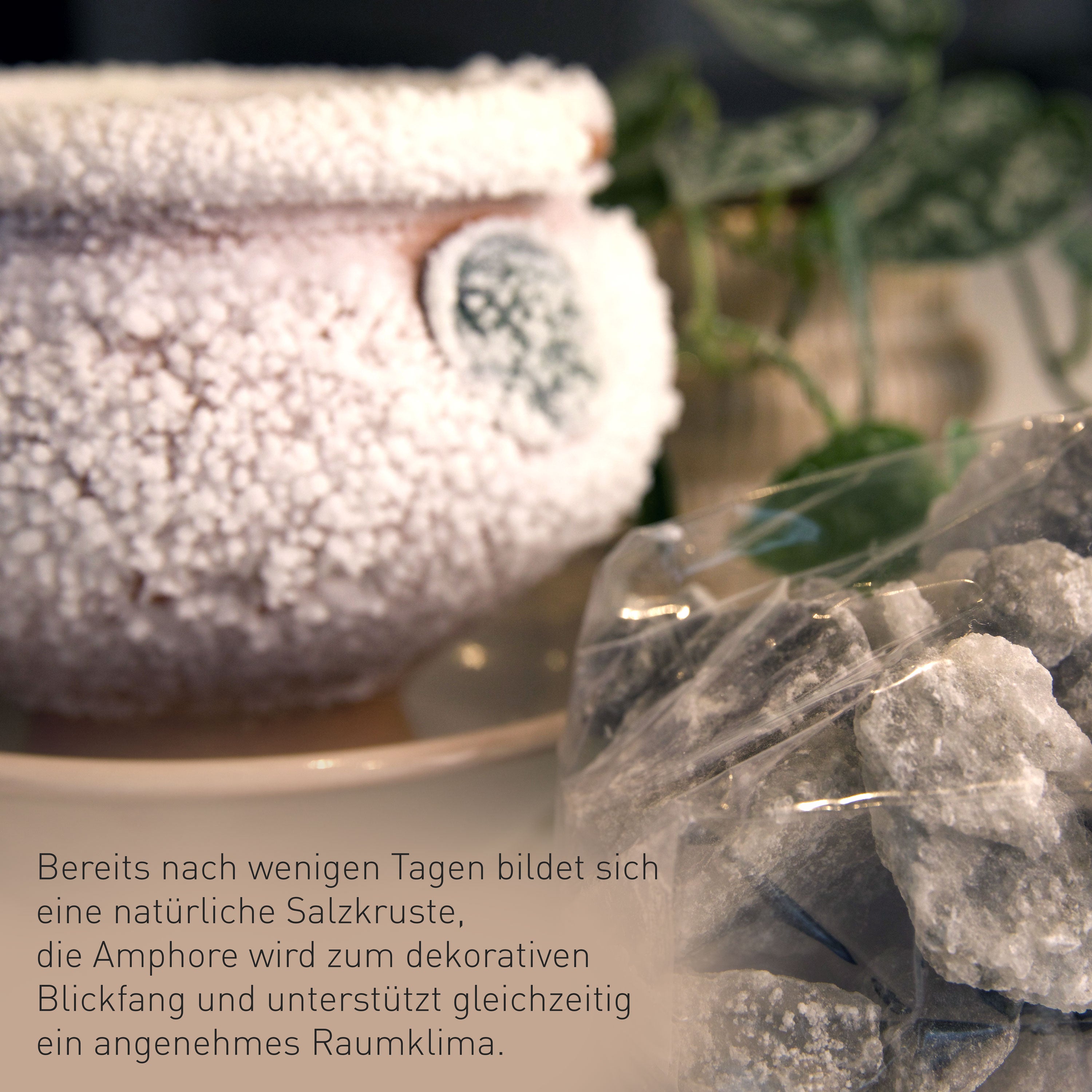 Natürlich Leben Set